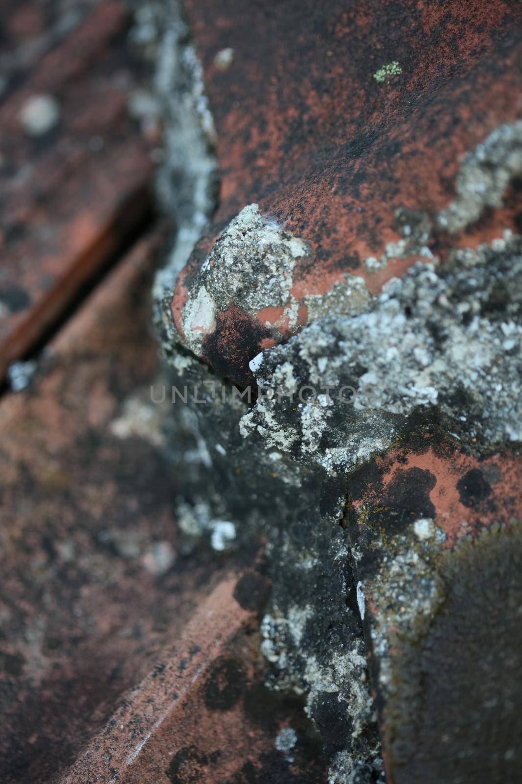 Old roof tiles with lichens closeup vintage background high quality big size prints