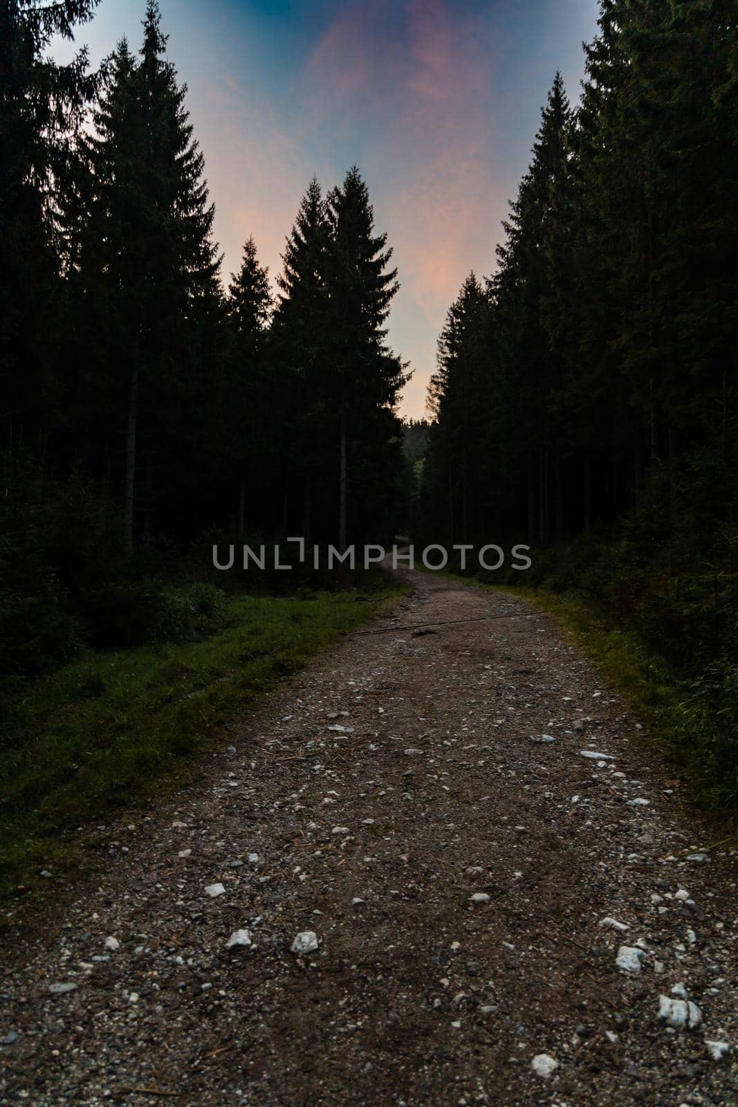 Long mountain trail in Golden Mountains at sunny cloudy morning