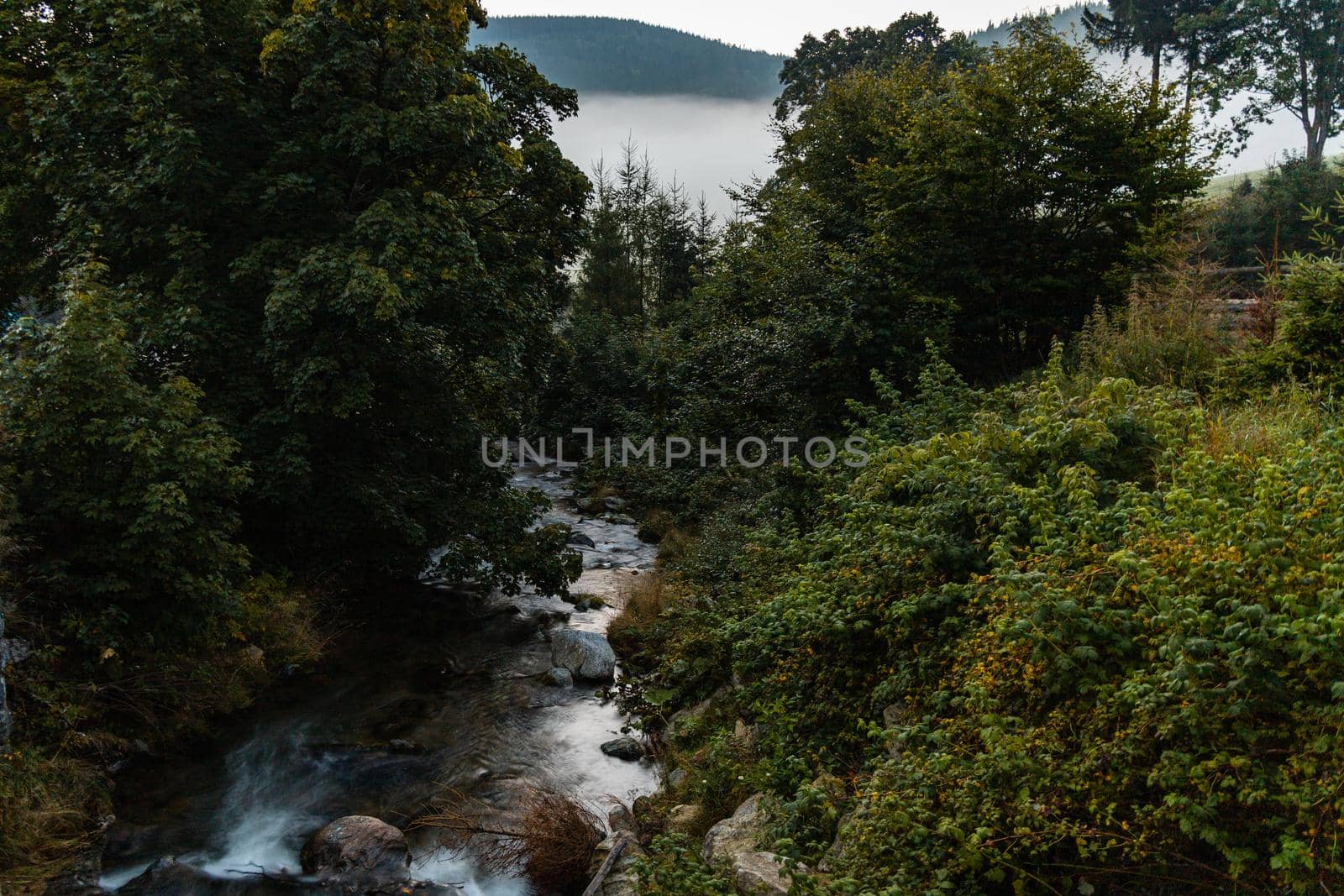 Small flowing river in Golden Mountains at morning sunrise seen from bridge 