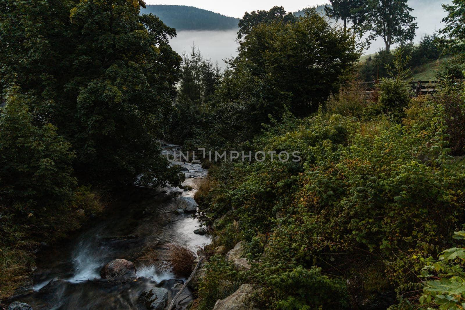 Small flowing river in Golden Mountains at morning sunrise seen from bridge  by Wierzchu