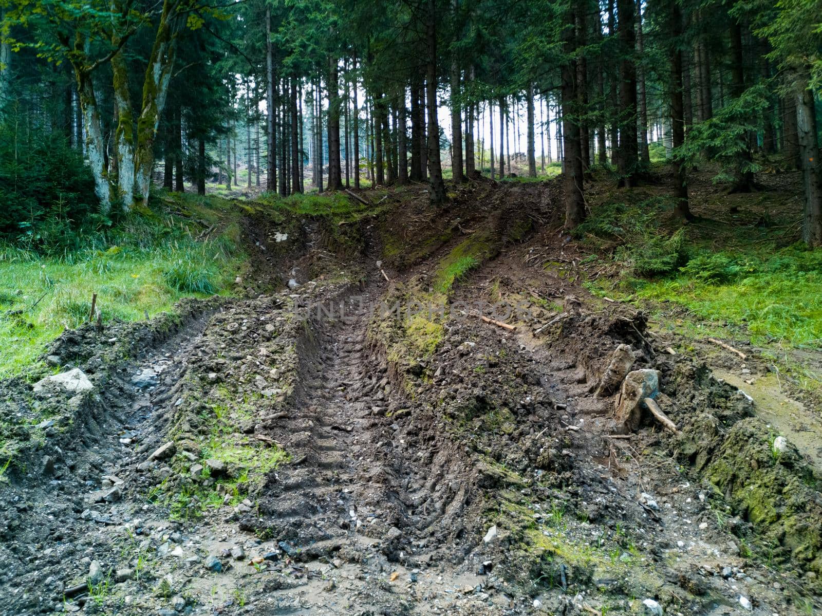 Paths next to mountain trail full of mud made by heavy vehicle by Wierzchu