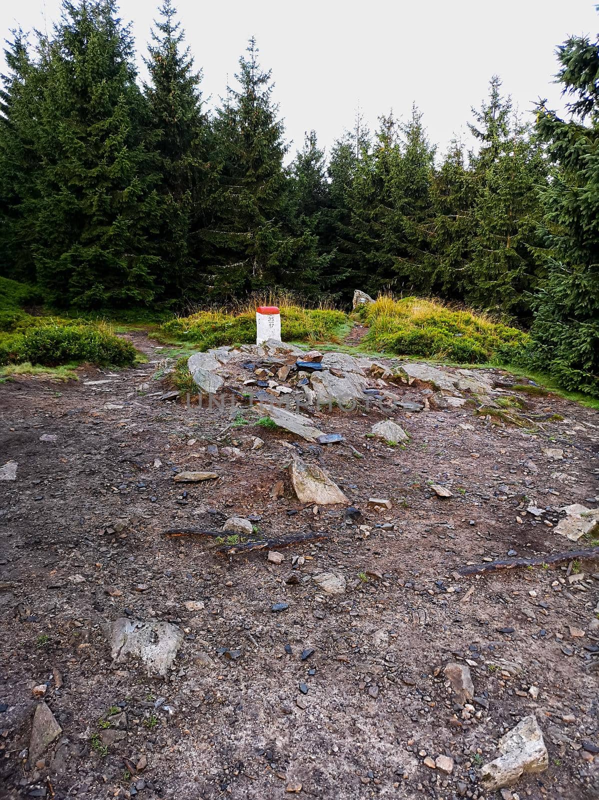 Flat square on top of the mountain in Golden Mountains by Wierzchu