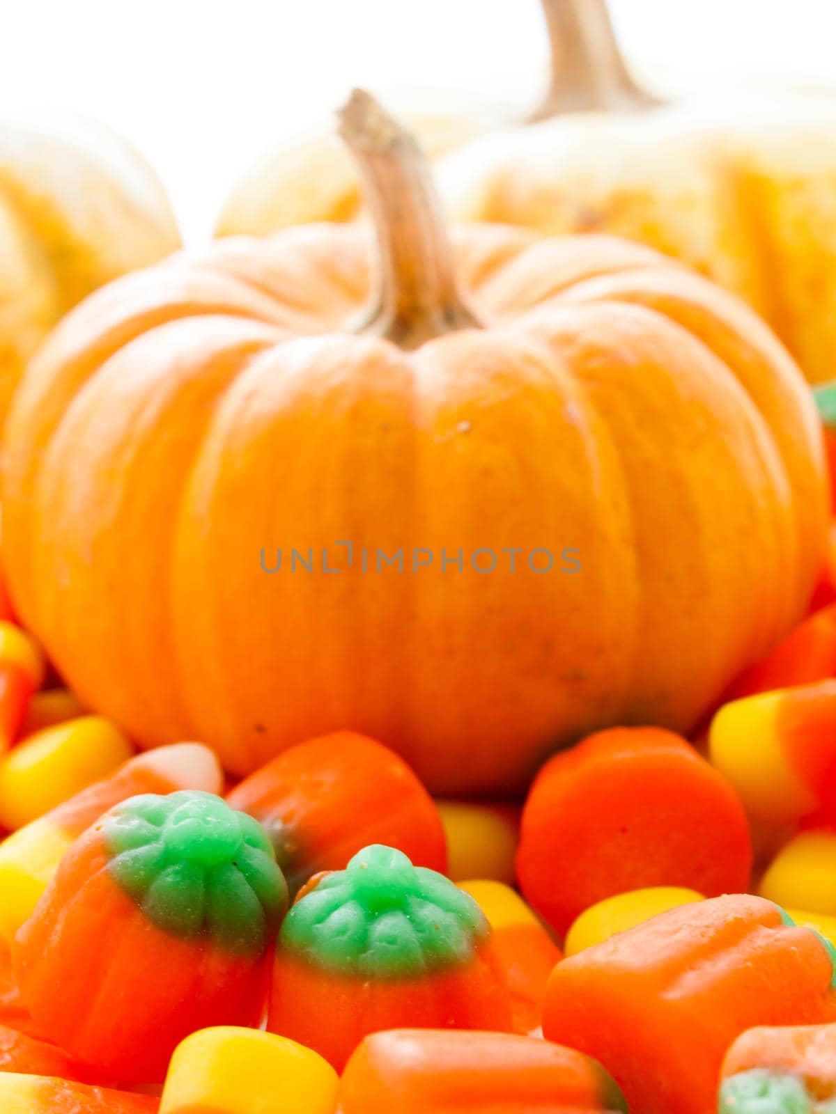 Small multi-color pumpkins with Halloween candies on white background.