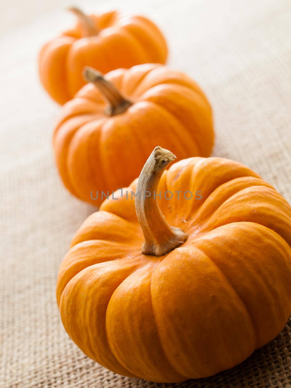 Small orange pumpkins on burlap fabric.