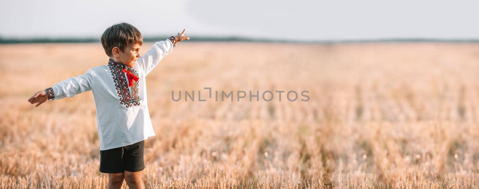 Banner, copy space, happy boy - Ukrainian patriot child with open arms as airplane in field after collection wheat, open area. Ukraine, peace, independence, freedom, win in war. High quality photo