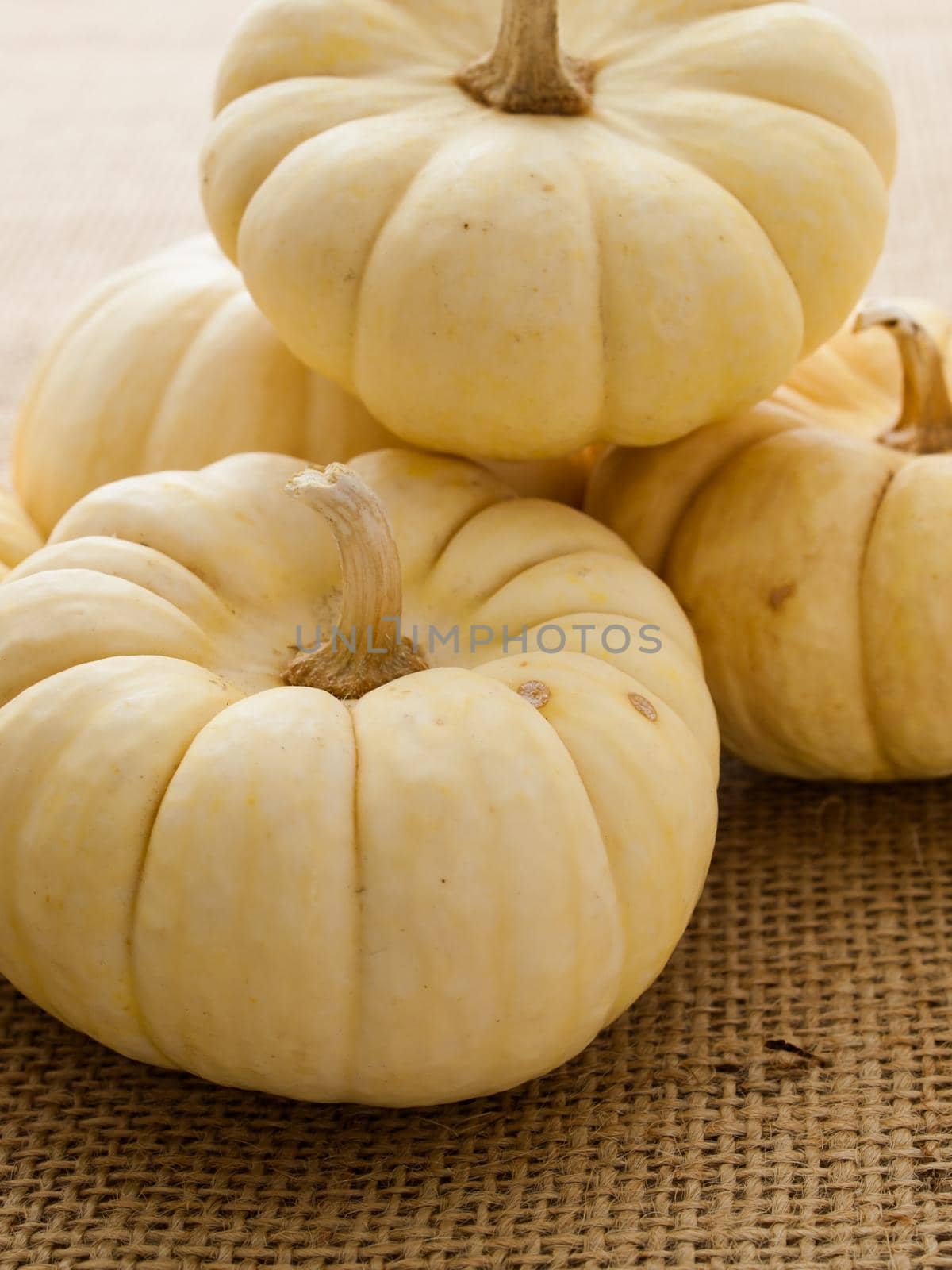 Small white pumpkins on burlap fabric.