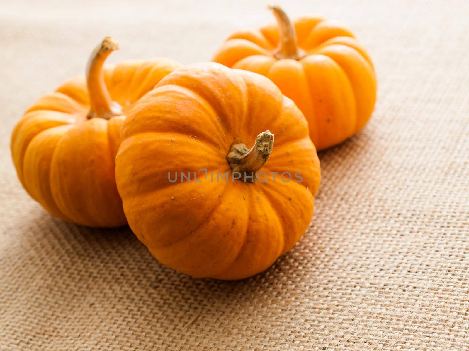 Small orange pumpkins on burlap fabric.