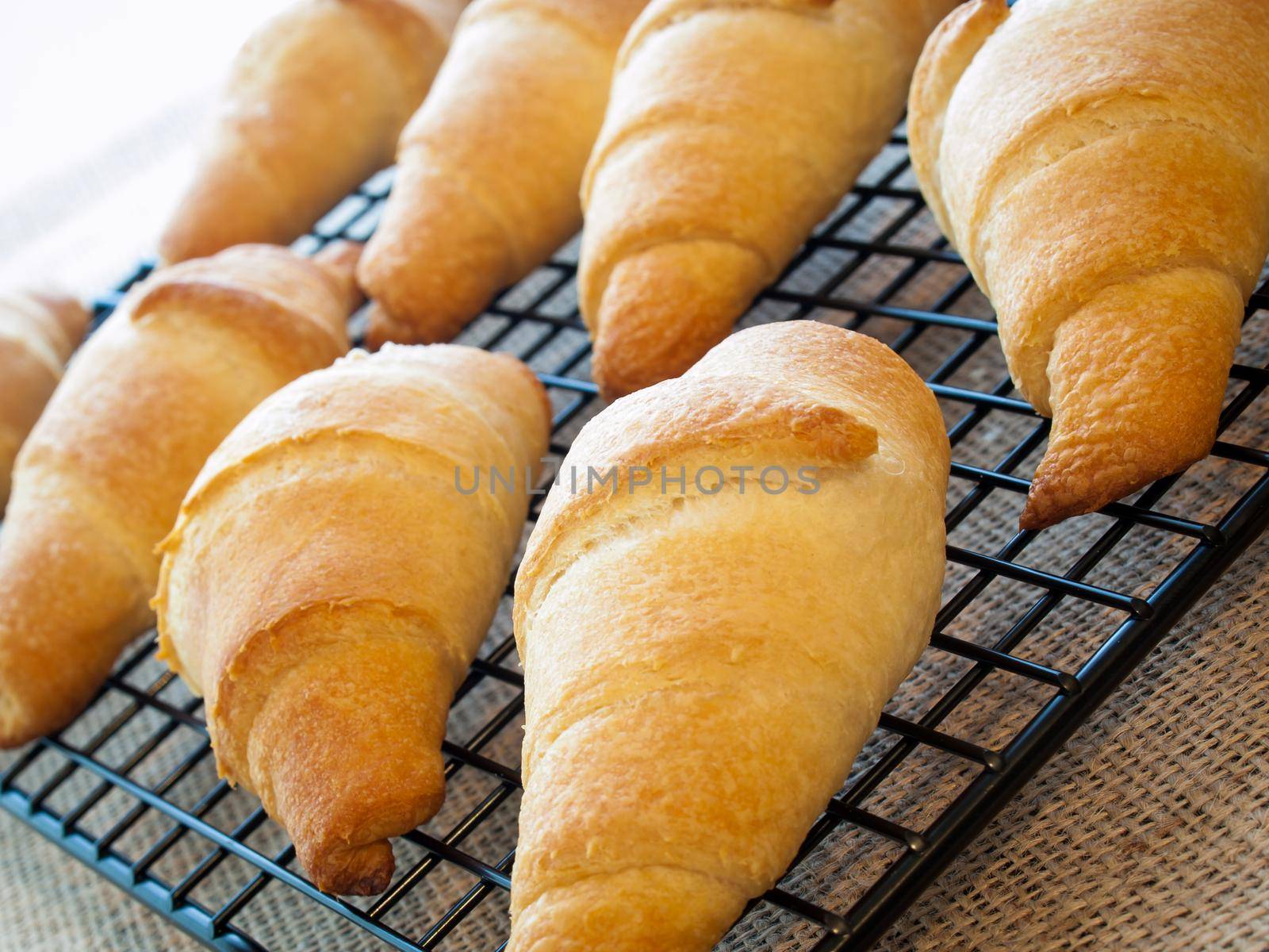 Baking small croissants for breakfast.