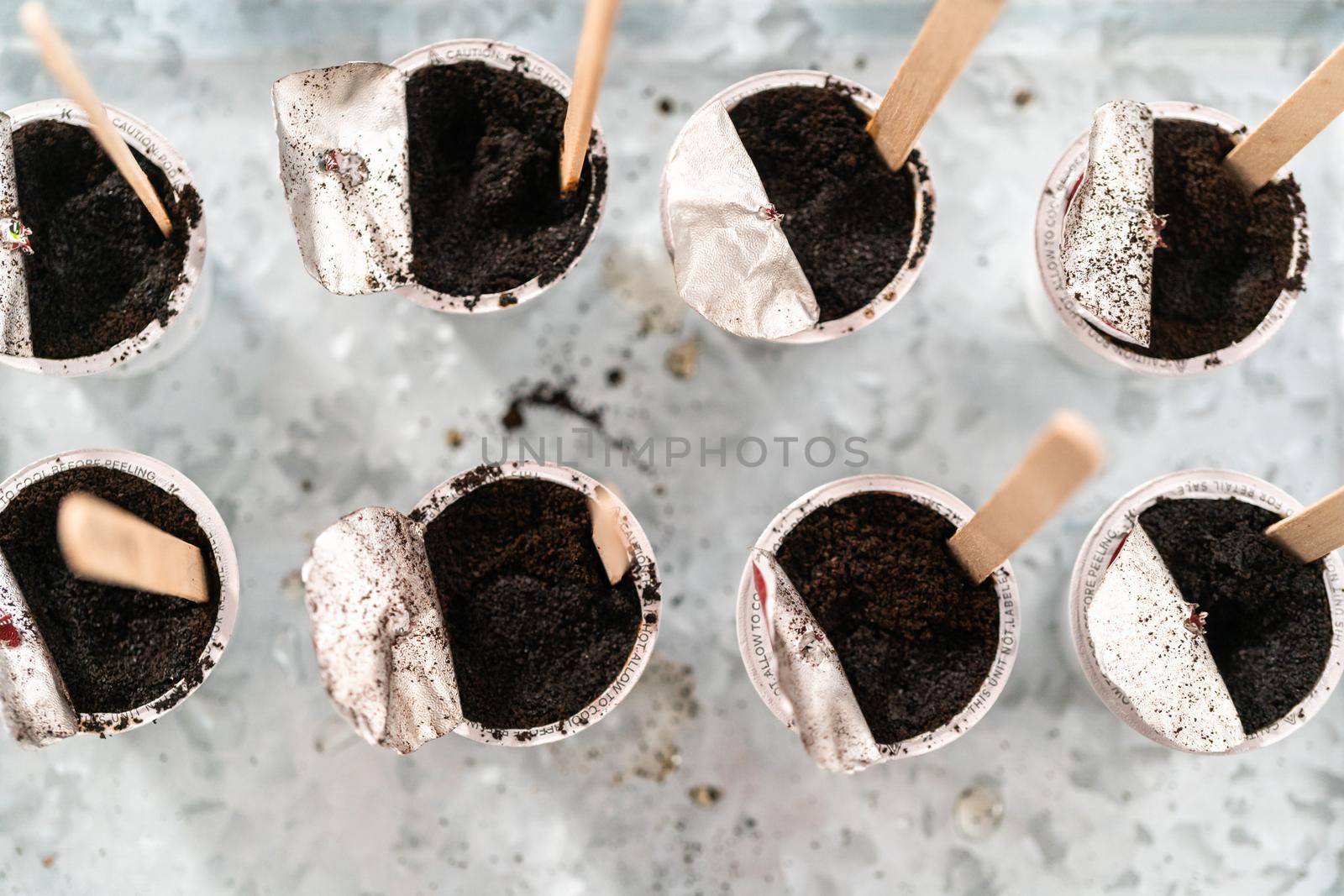 Planting seeds into coffee pods to start an indoor vegetable garden.