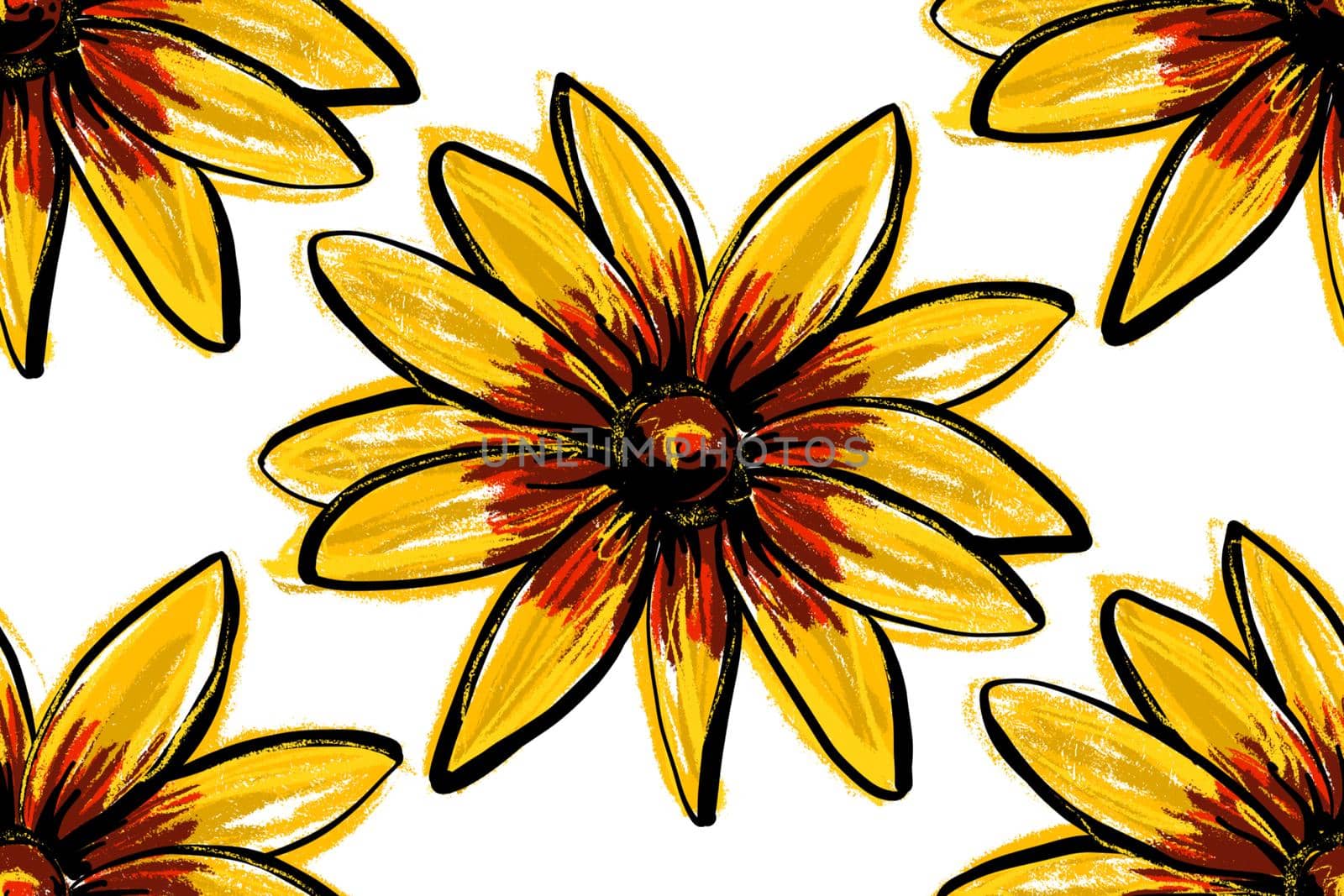 Seamless Background. Beautiful large yellow rudbeckia or daisy flowers on a white background. Sunflowers pattern.