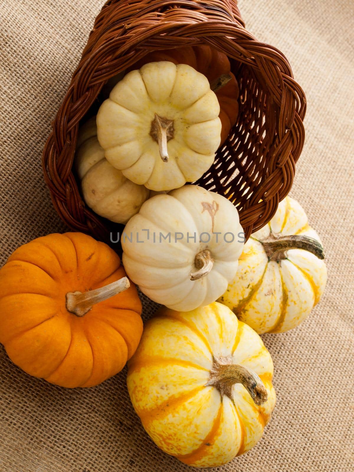 Mini Pumpkins by arinahabich