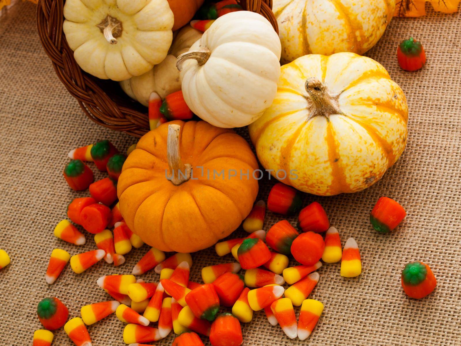 Small multi-color pumpkins and Halloween candies spilled from cornucopia.