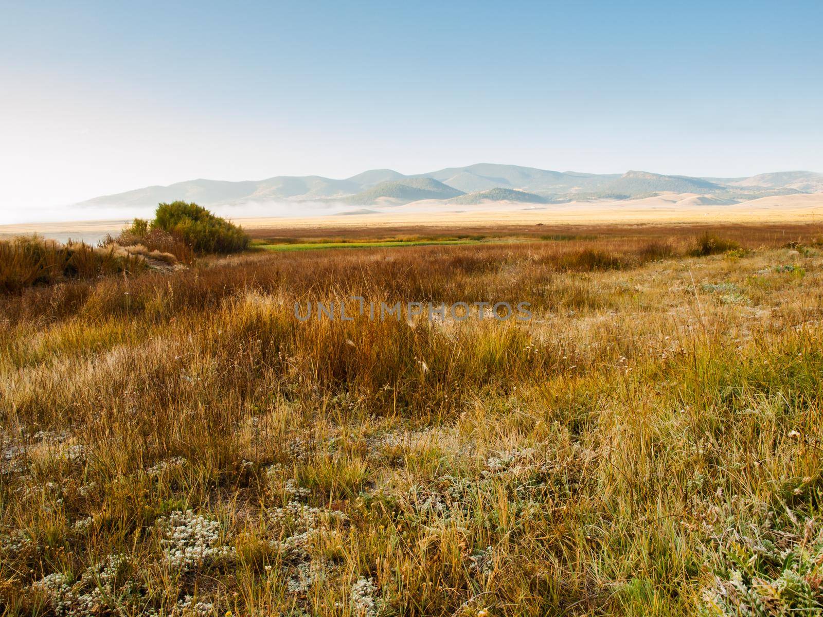 Early morning on the prairie in late Autumn.