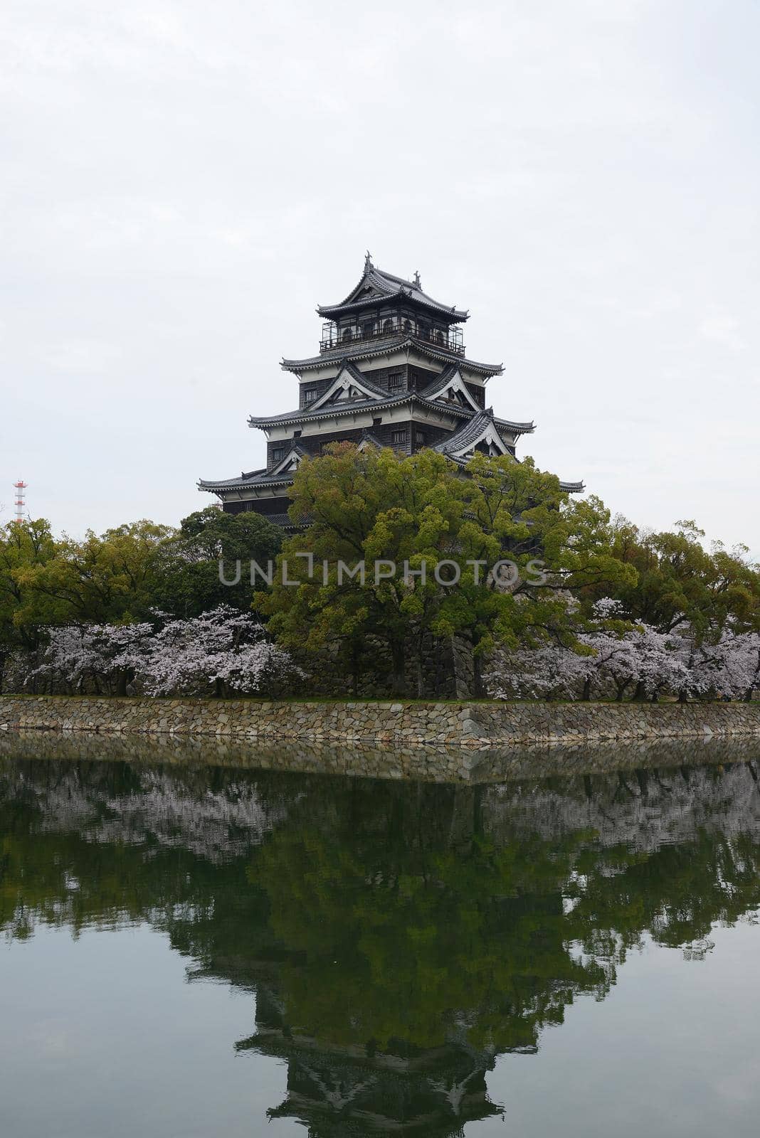 hiroshima castle with cherry blossom