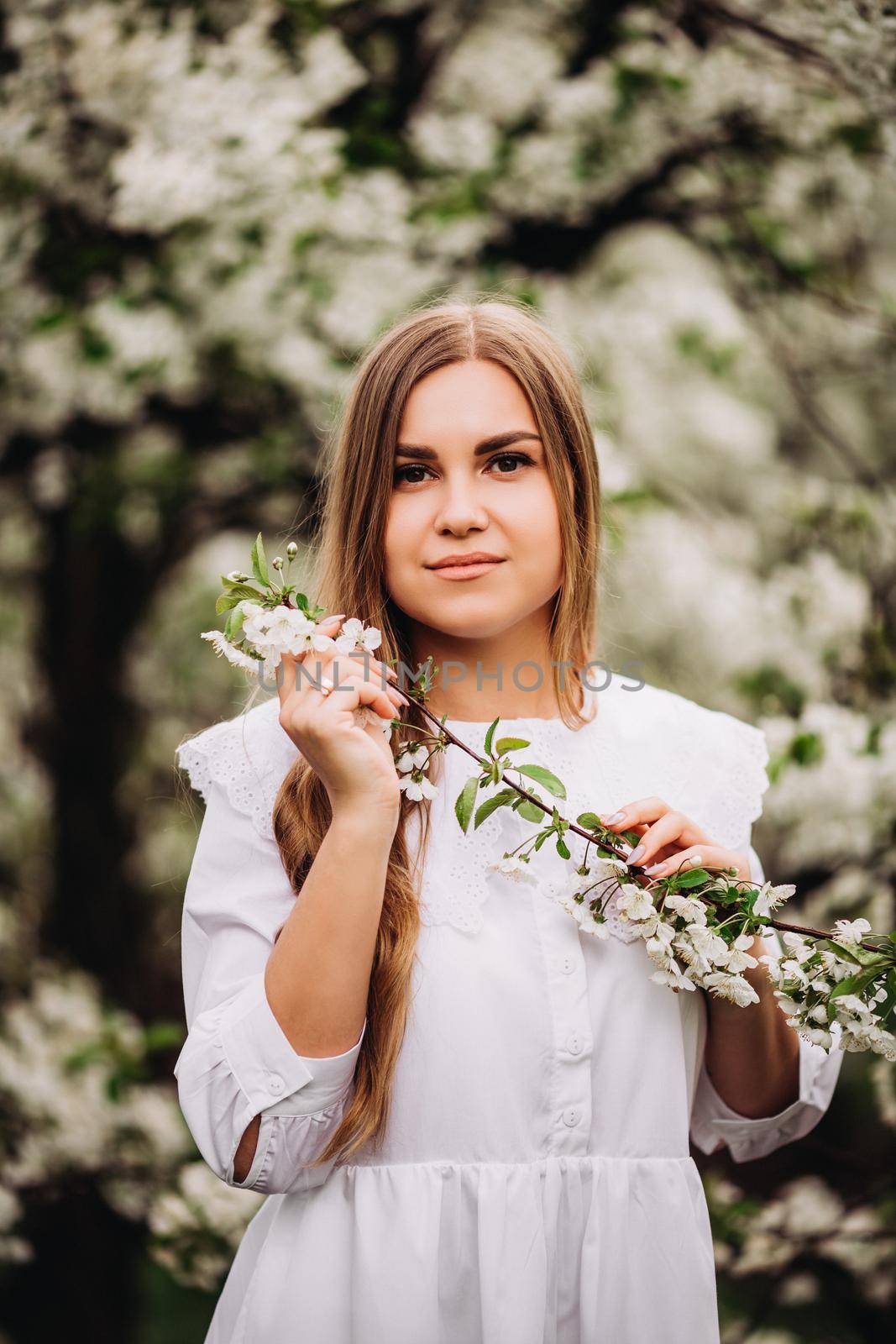 A portrait of a fair-haired young woman in a snow-white dress stands near a flowering apple tree. A girl walks in a blooming apple orchard in spring