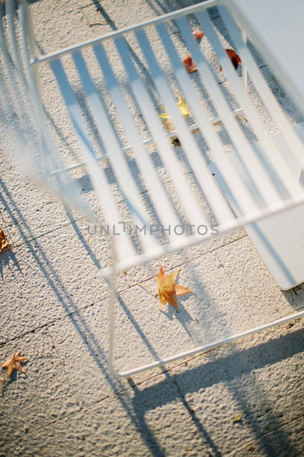 Yellow leaves lie on the tiles under the white chair. High quality photo