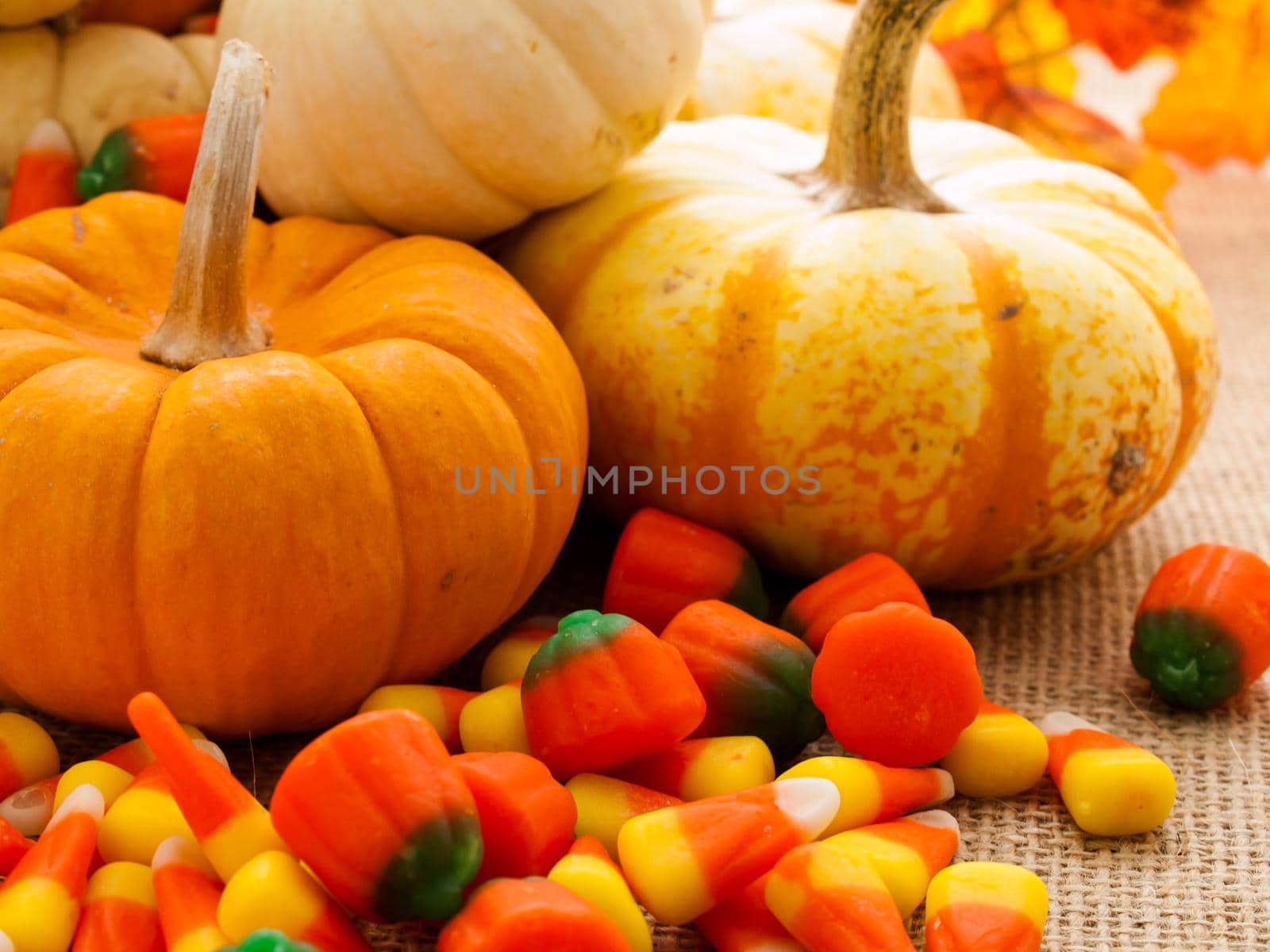 Small multi-color pumpkins and Halloween candies spilled from cornucopia.