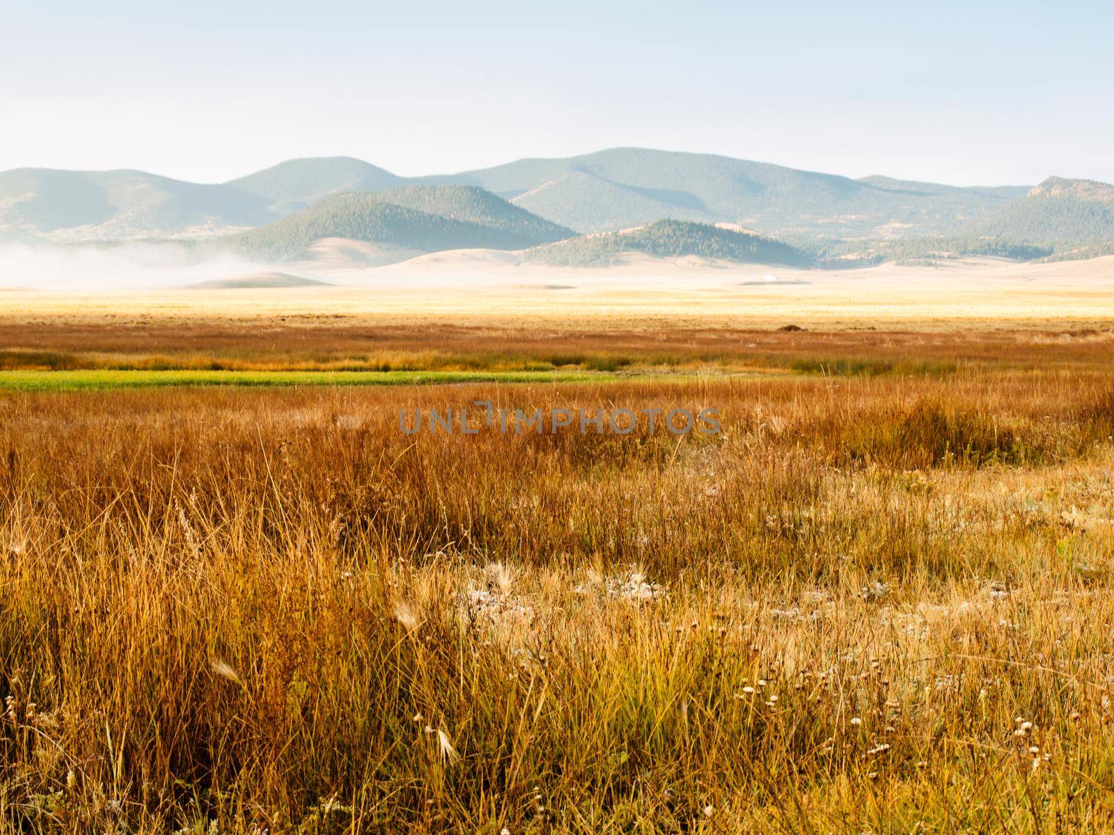 Early morning on the prairie in late Autumn.