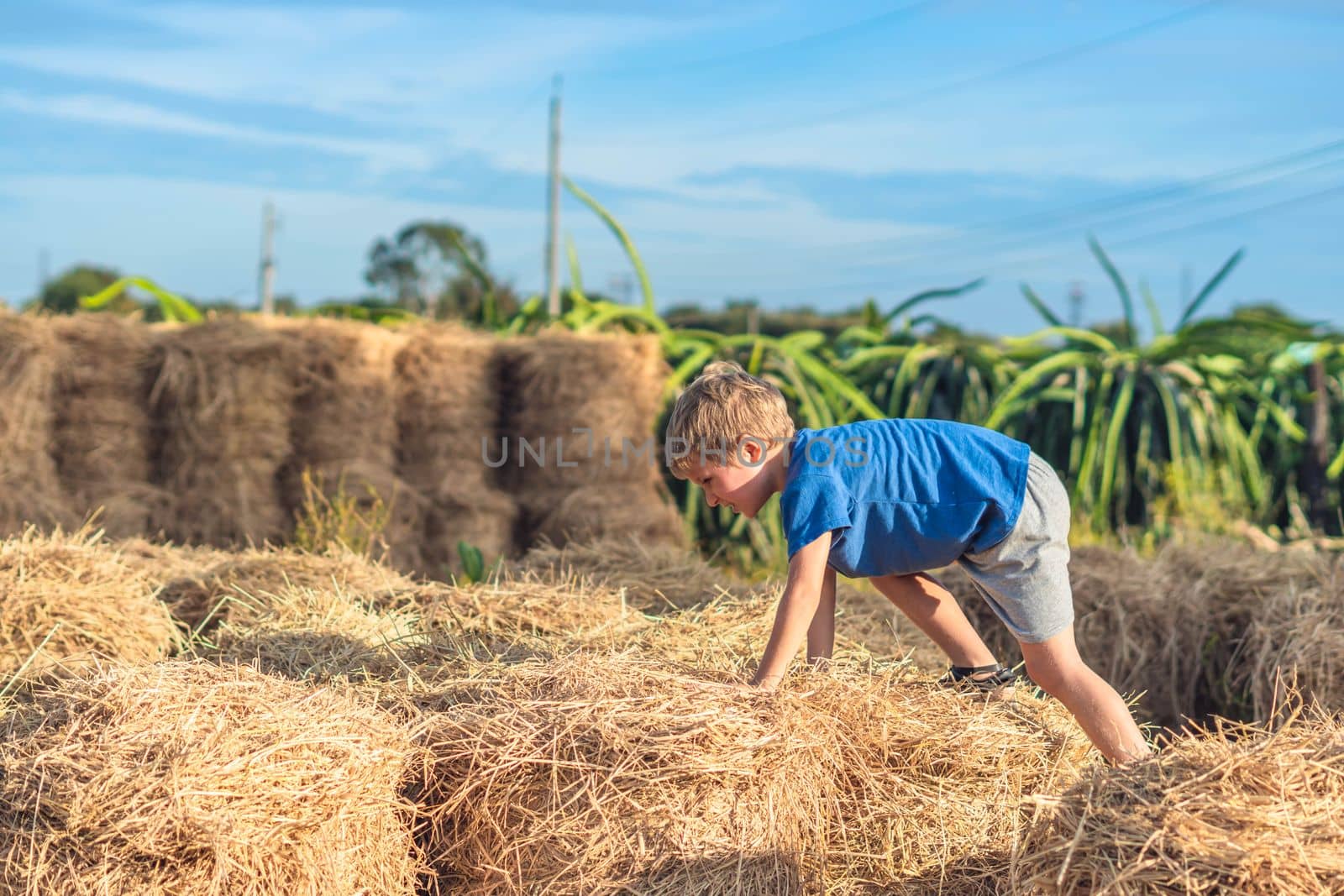 Boy blue t-shirt smile play climbs on down haystack bales of dry hay, clear sky sunny day. Outdoor kid children summer leisure activities. Concept happy childhood countryside, air close to nature by nandrey85
