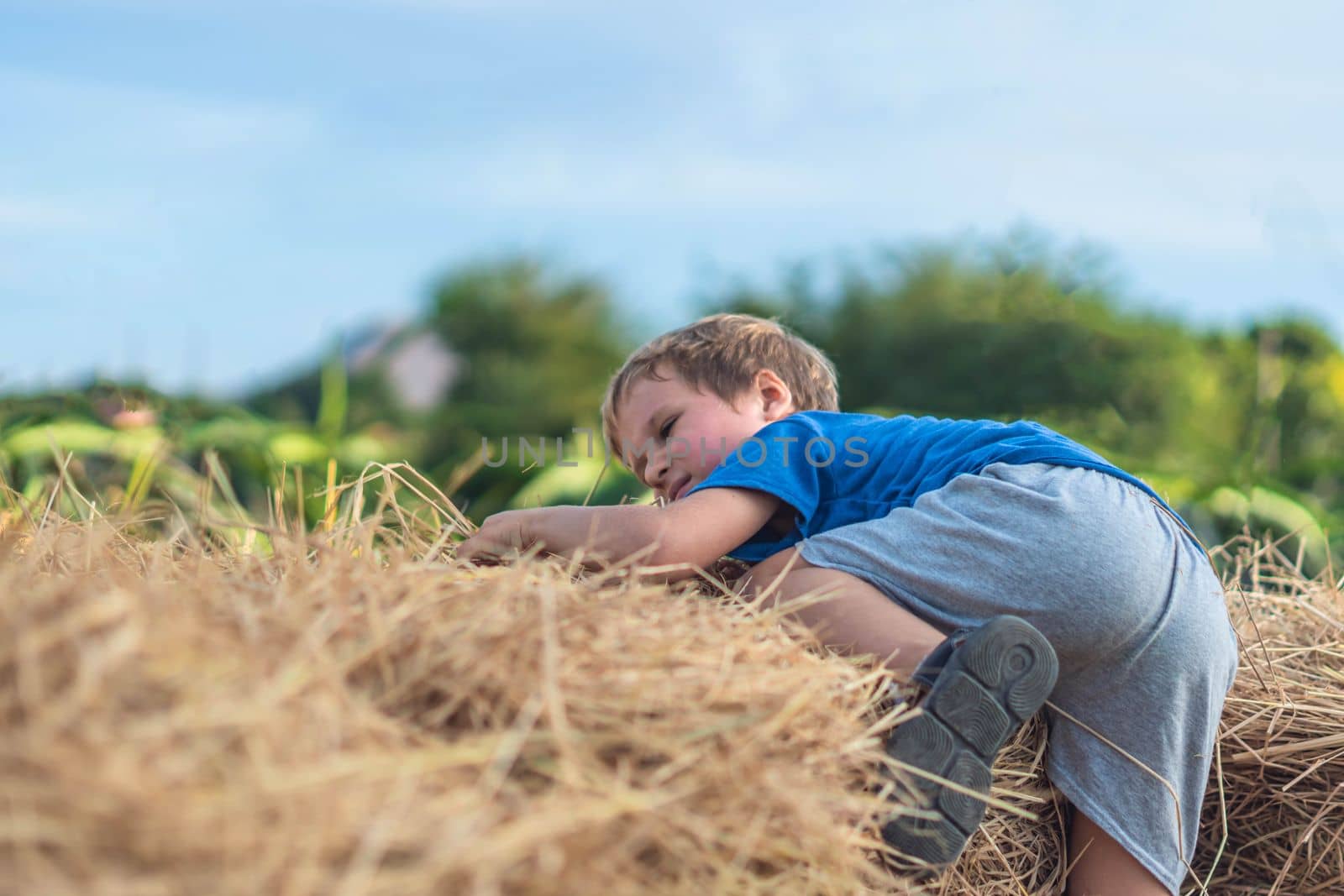 Boy blue t-shirt smile play climbs on down haystack bales of dry hay, clear sky sunny day. Outdoor kid children summer leisure activities. Concept happy childhood countryside, air close to nature.