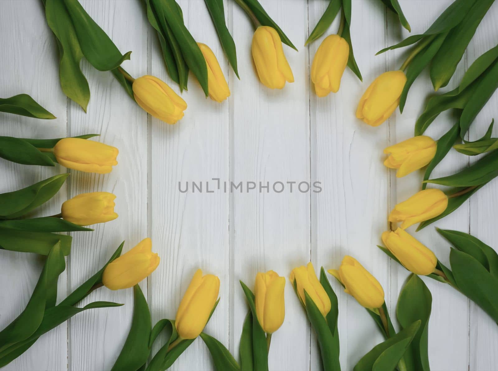 Yellow tulips are laid out on a wooden white table by Spirina