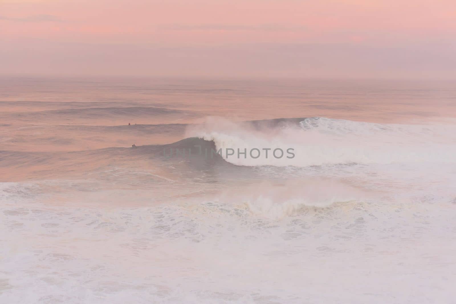 Surfers in the pink ocean at dawn in Nazare