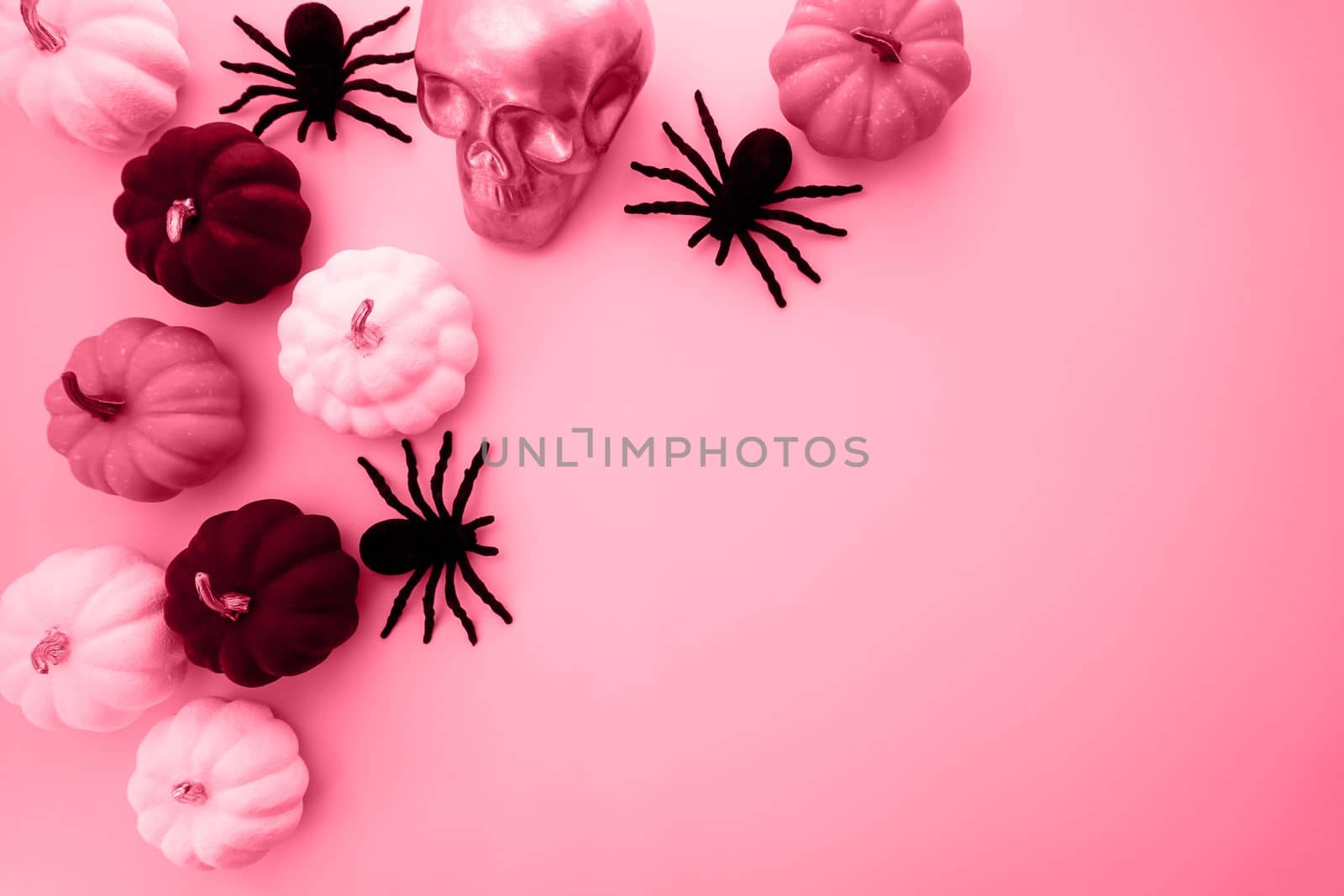 Creative Halloween photo in the color of the year 2023 by Spirina