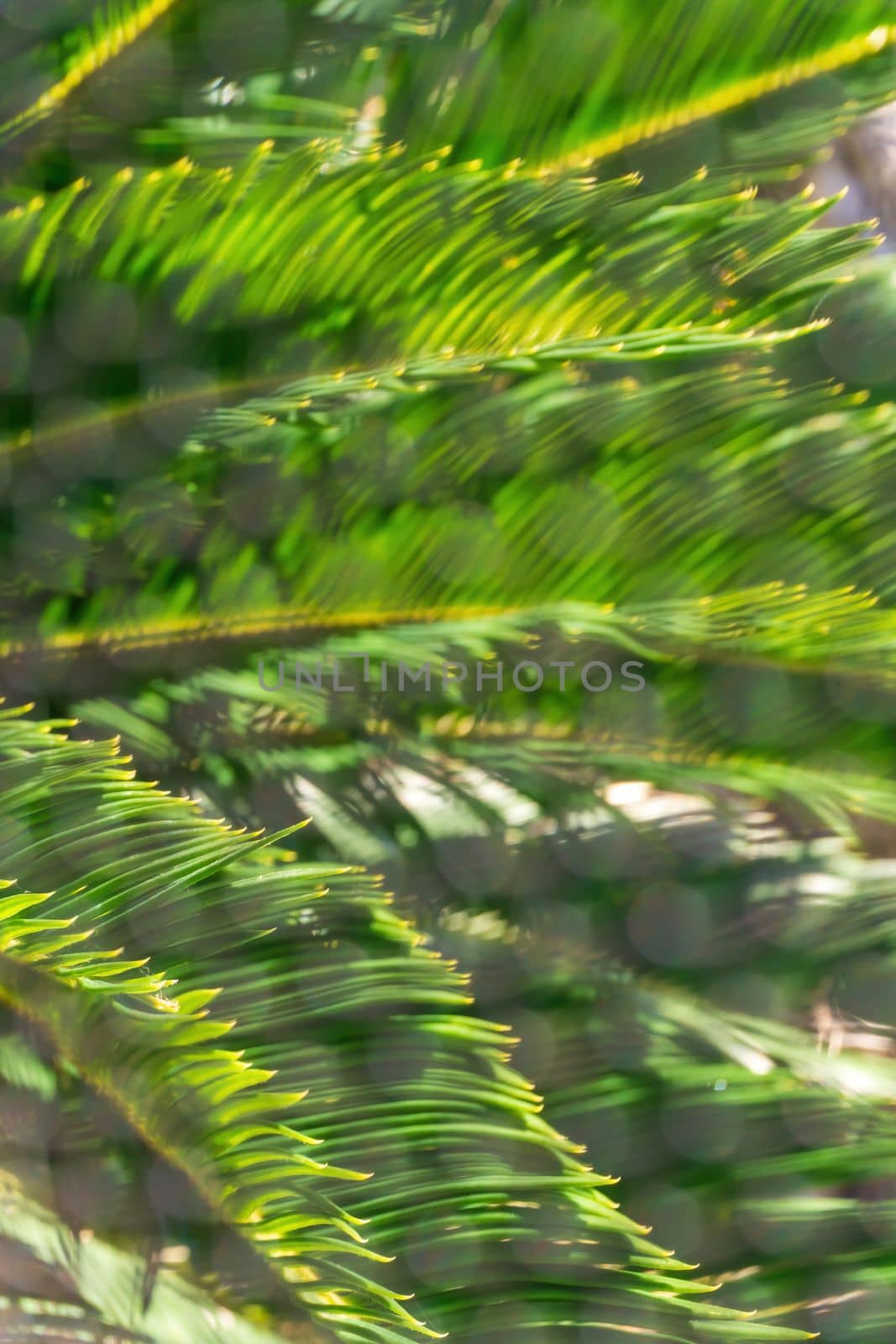 Background of bright green palm leaves behind the grid close up