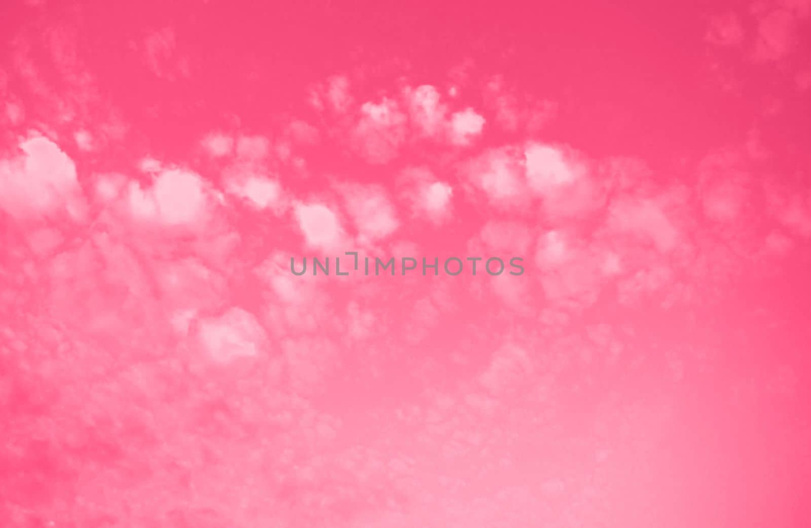 Viva Magenta dark cloudy background before the storm. Gloomy sky. Color of the year 2023. High quality photo.