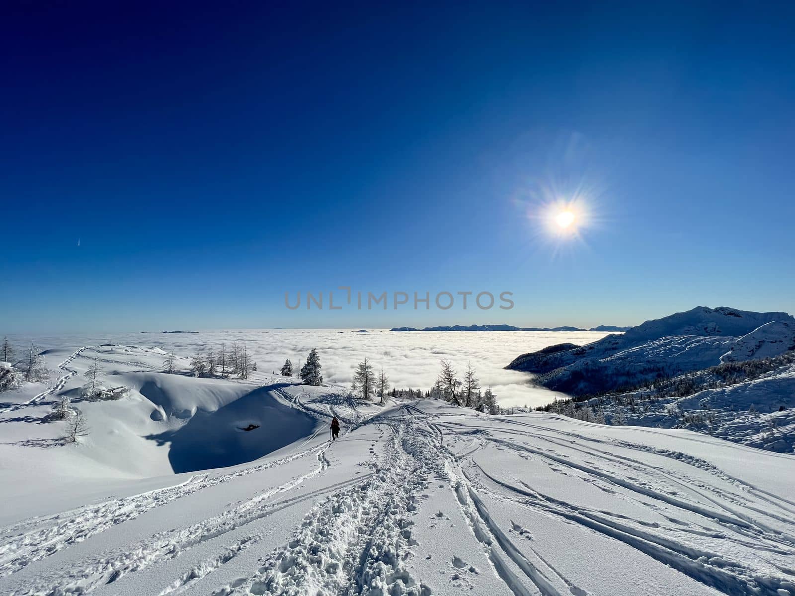 winter mountain landscape peaks and trees snow covered. High quality photo