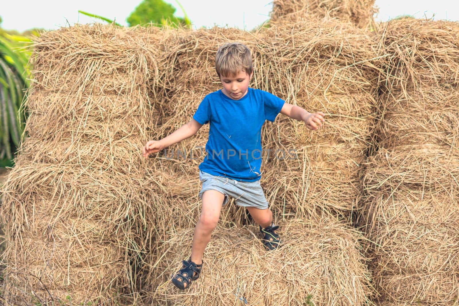 Boy blue t-shirt smile play climbs on down haystack bales of dry hay, clear sky sunny day. Outdoor kid children summer leisure activities. Concept happy childhood countryside, air close to nature.