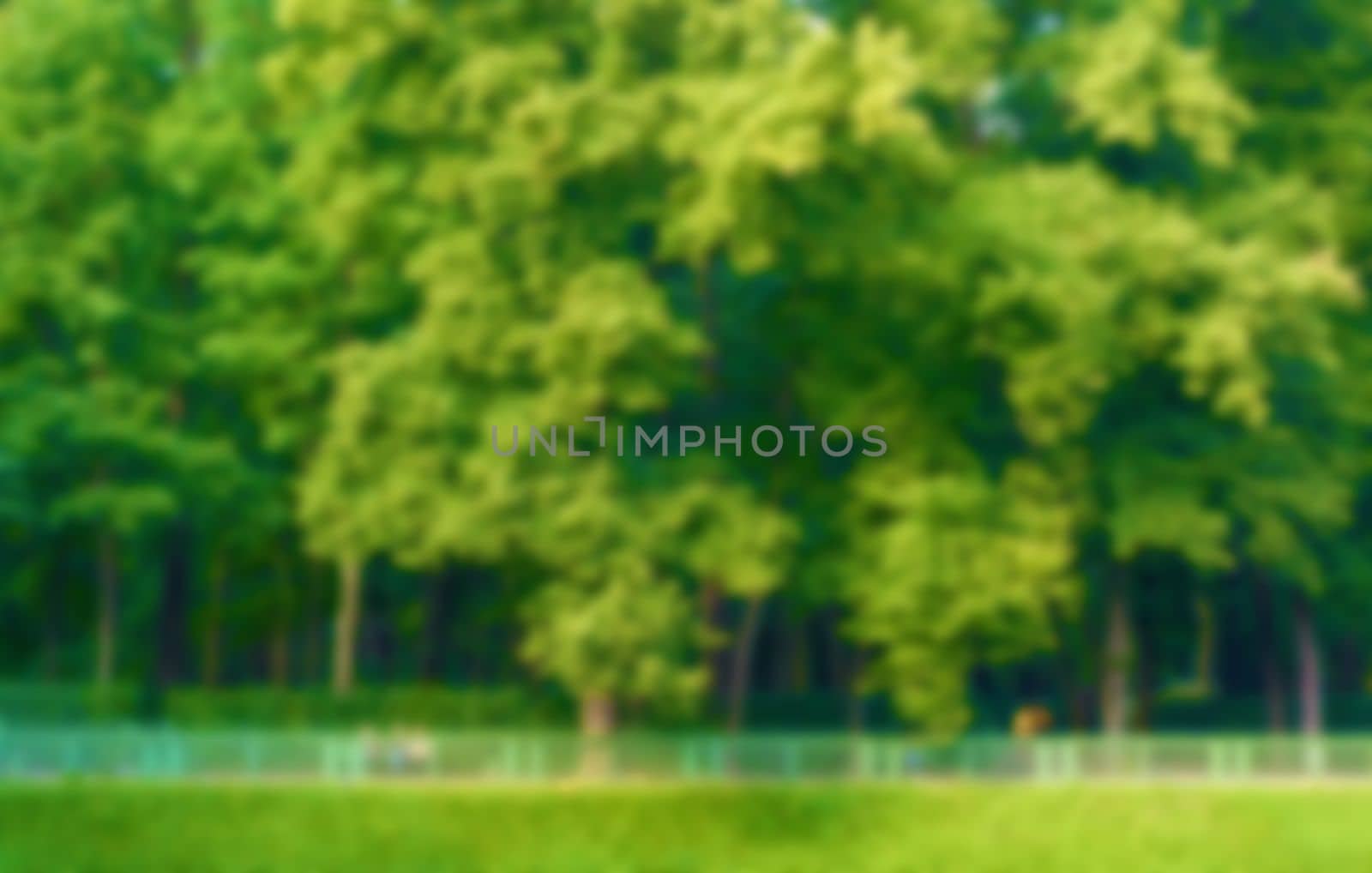 Blur natural and light background in the park. Abstract blur image of Green garden on day time with bokeh for background usage. Bokeh light yellow green abstract backgrounds textures. High quality photo