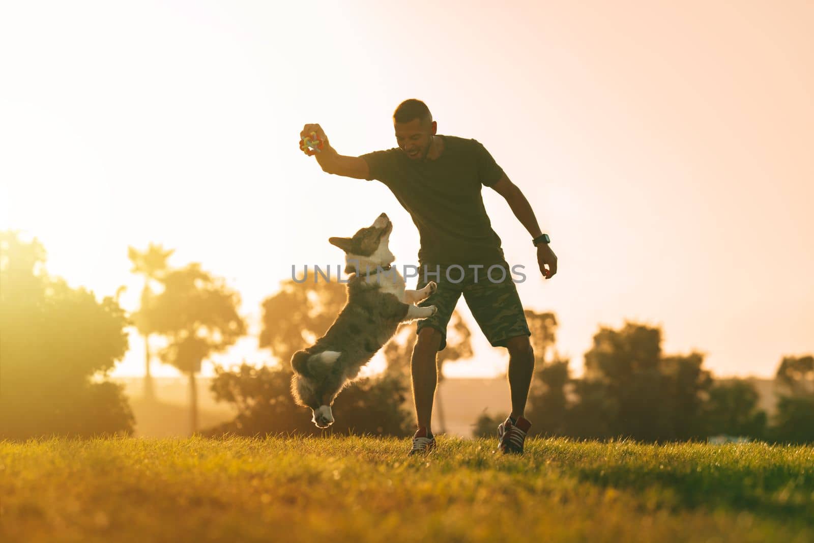 Young man playing with happy blue merle cardigan welsh corgi outdoor at sunset. Dog and owner concept. High quality photo