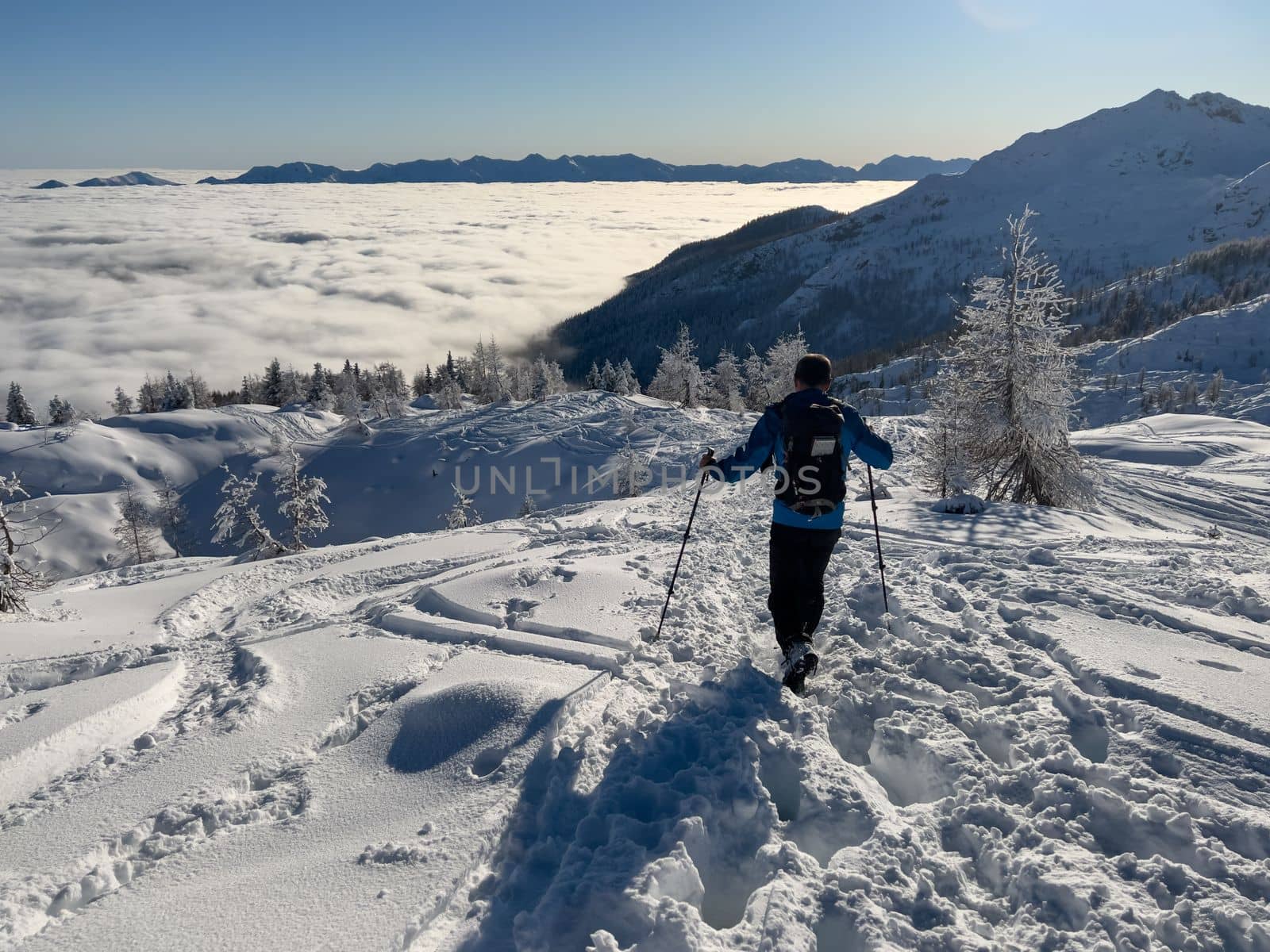 winter hikers climbing uphill trees covered with snow. High quality photo