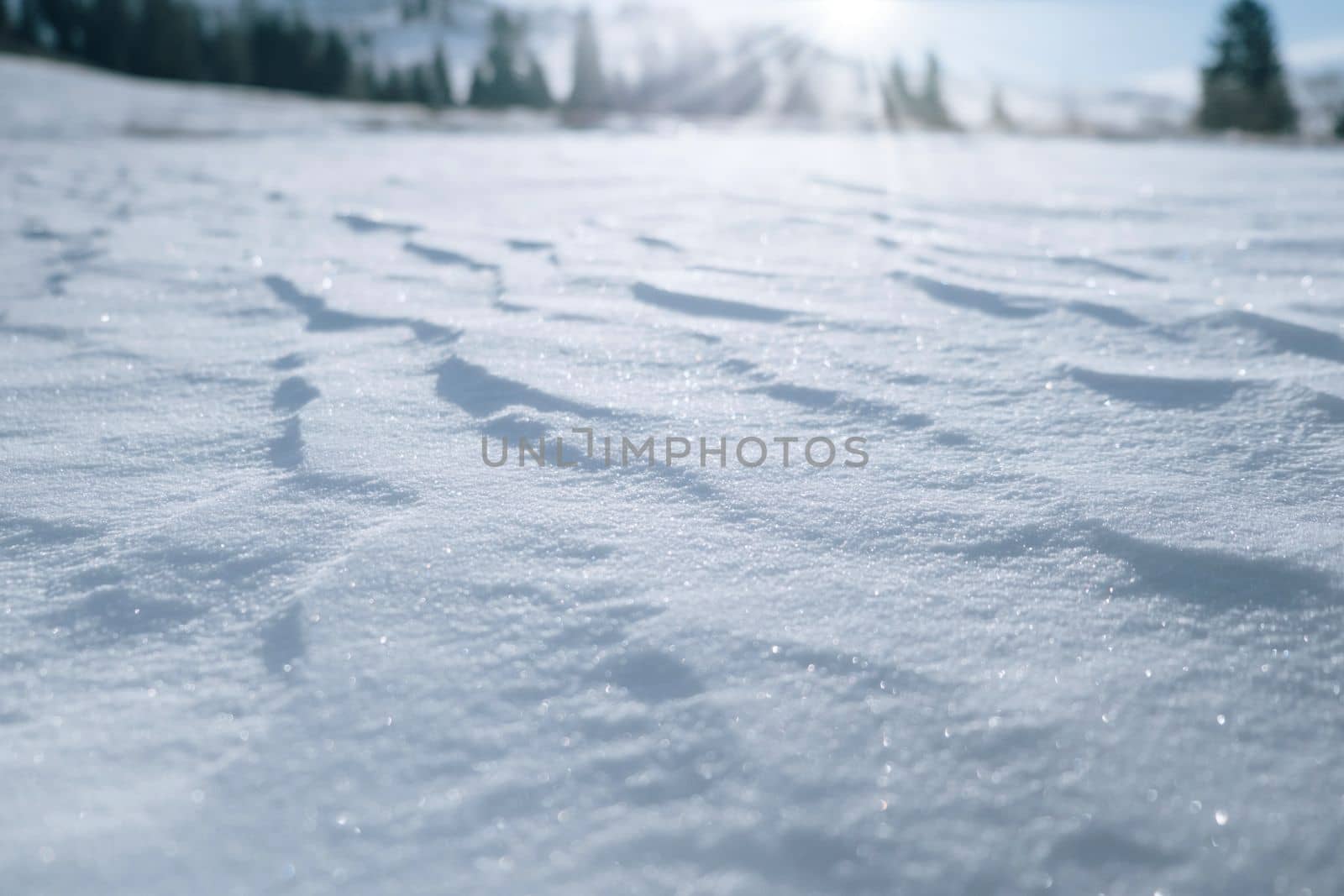 Snow texture. Background of fresh snow texture. Winter background with pile of snow and blur landscape.