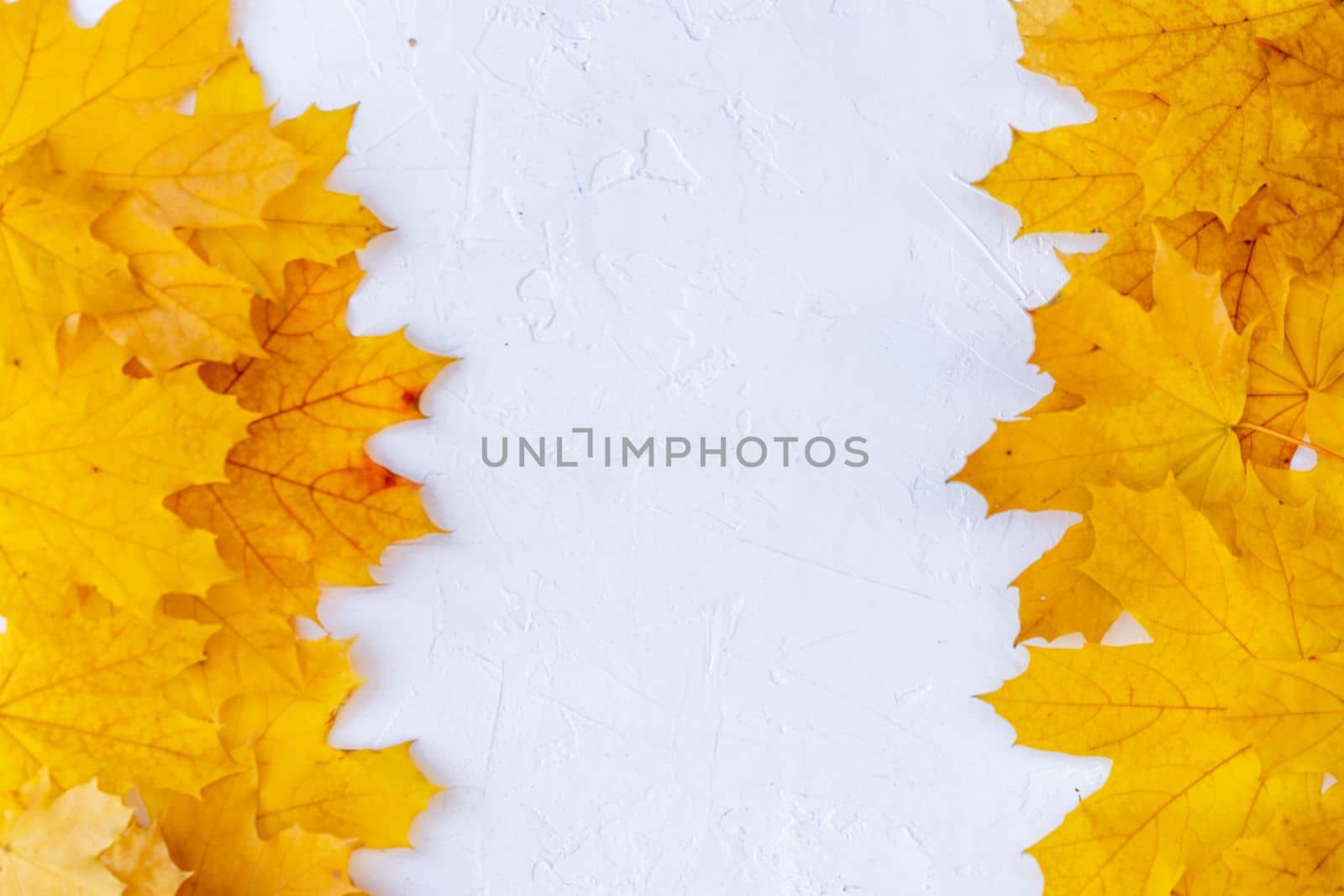 Autumn leaves frame on white background top view Fall Border yellow and Orange Leaves vintage structure table Copy space for text. by andreonegin
