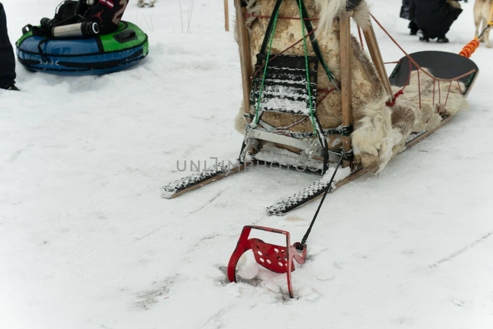 snow cold white siberian sled nature canine husky alaska winter dog musher sleigh by 89167702191