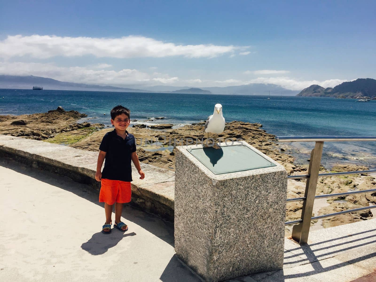 Boy and seagull looking at camera in beautiful seascape.