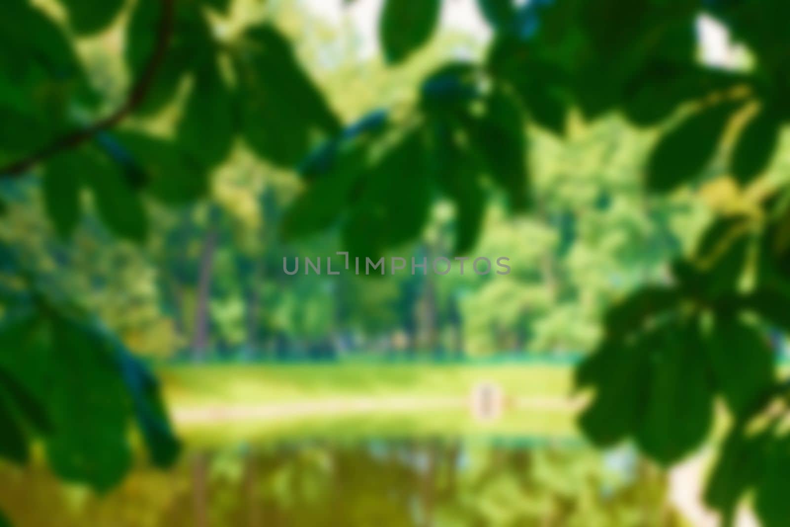 Blur natural and light background in the park. Bokeh light yellow green abstract backgrounds textures. by kizuneko