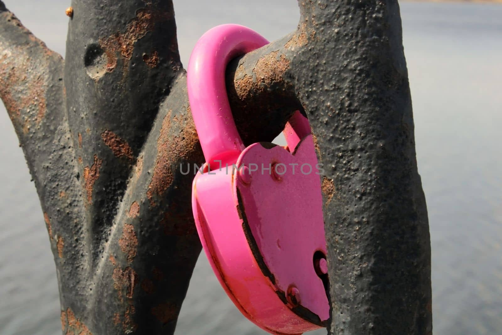 A pink lock in the shape of a heart close-up hangs on a rusty lattice. wedding tradition. The concept of love and fidelity by IronG96