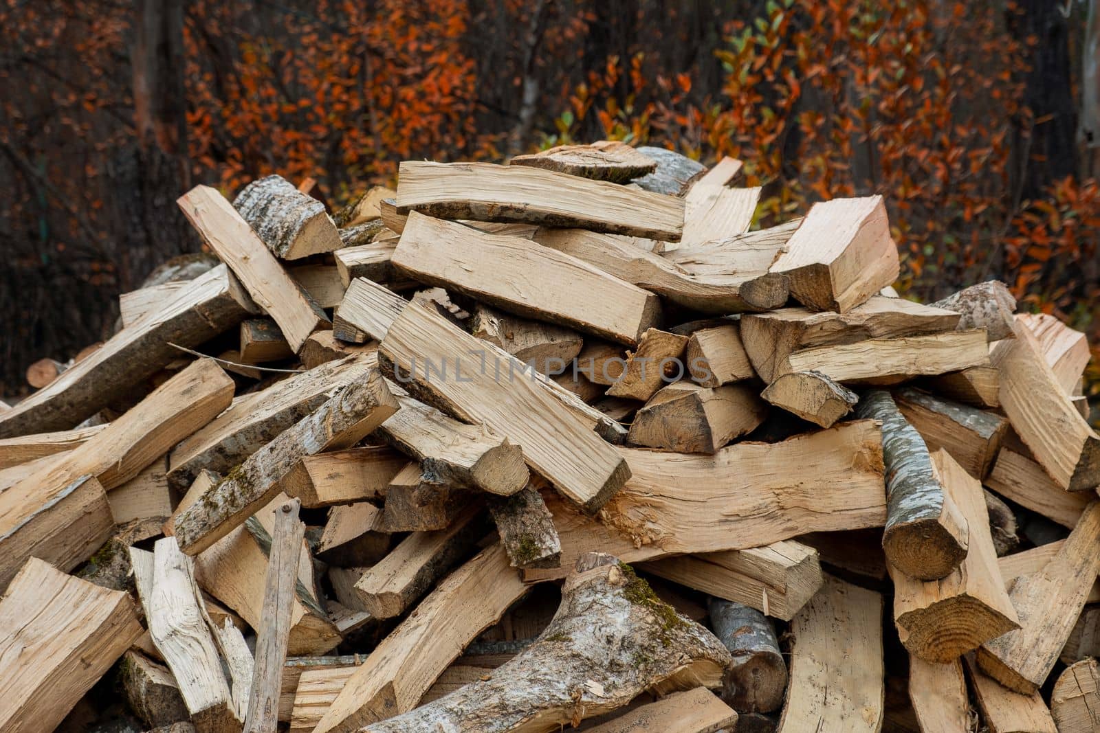 Chopped firewood for heating lies in a pile among the trees in late autumn. Selective focus.