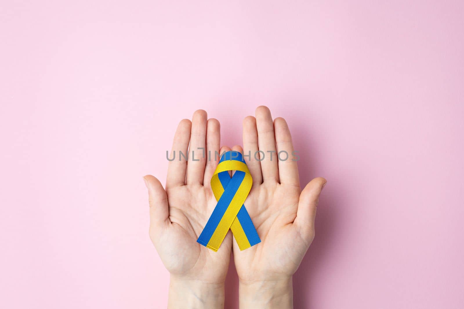 two color blue yellow Ukrainian ribbon lies on palms of women on pink background. concept needs help and support, truth will win