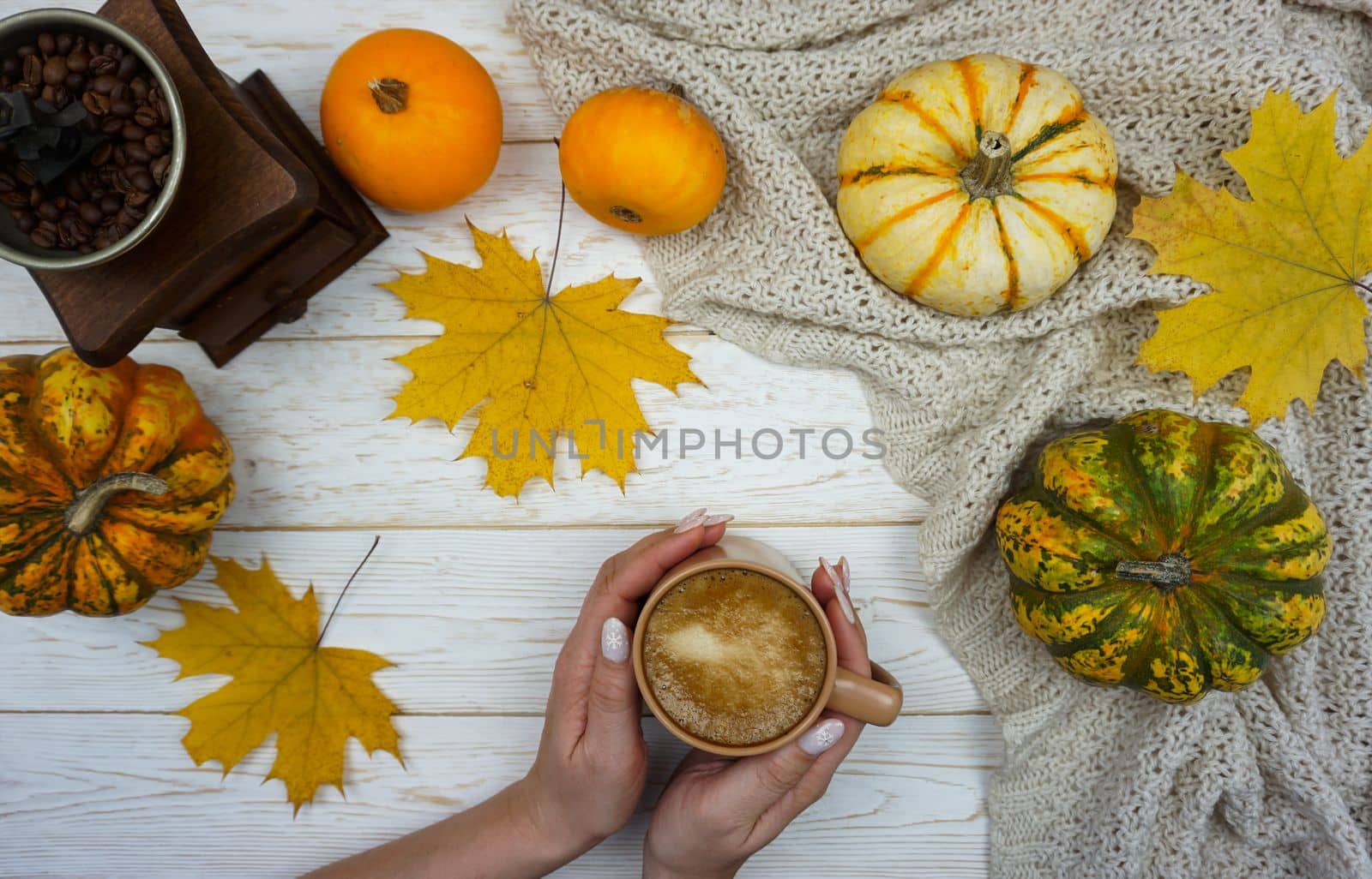 There is a coffee grinder on the table, there are pumpkins and a glass of hot pumpkin latte. Yellow maple leaves.