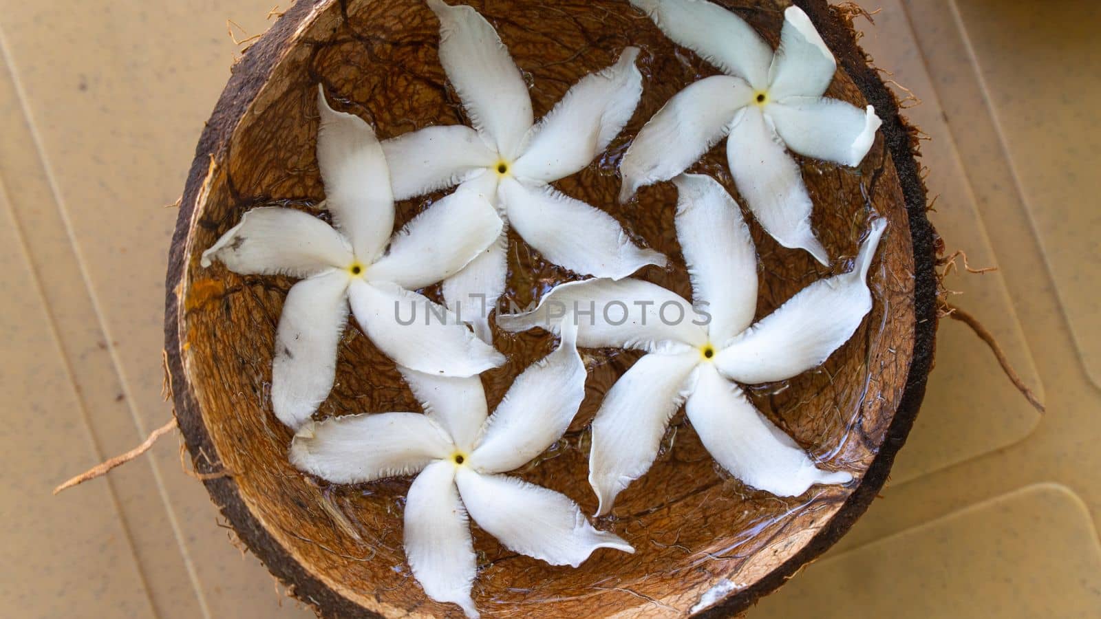 White flowers in a coconut bowl vase, floral background. High quality photo