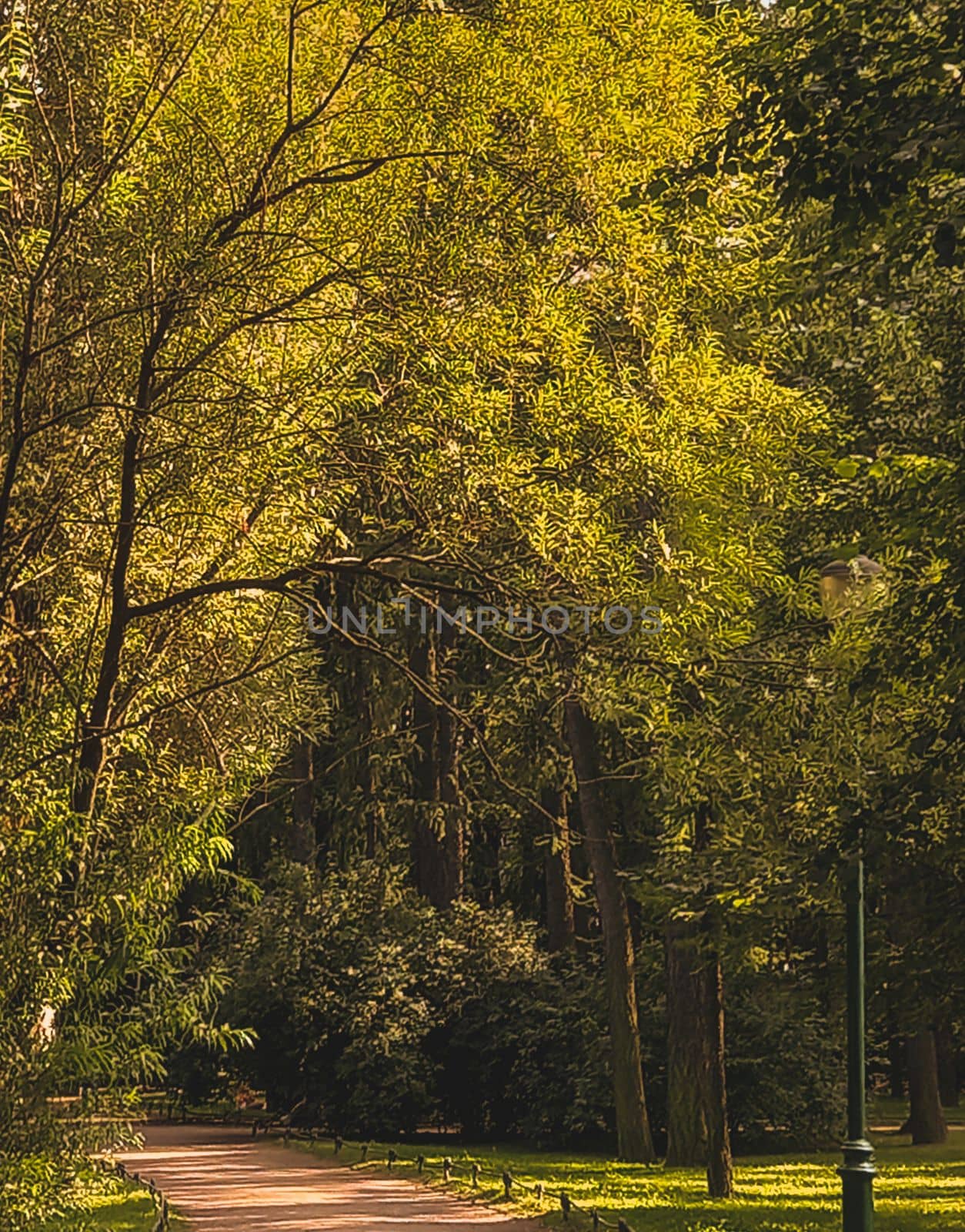 Trees and park path at the public park. Green city park with trees. High quality photo