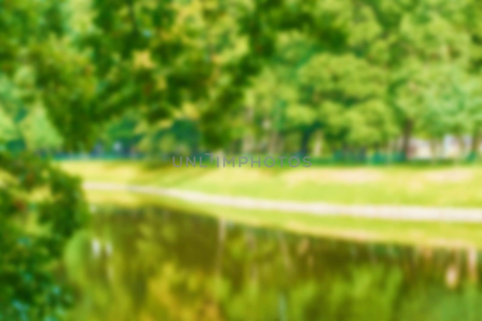 Blur natural and light background in the park. Bokeh light yellow green abstract backgrounds textures. by kizuneko