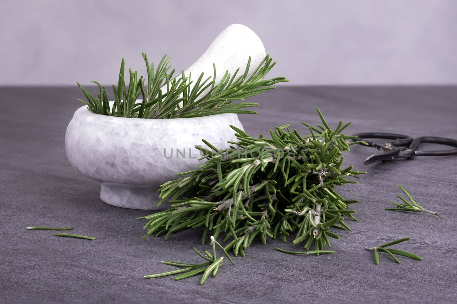 Marble mortar for grinding herbs and spices, filled with sprigs of fresh rosemary, stands on gray surface. Selective focus.