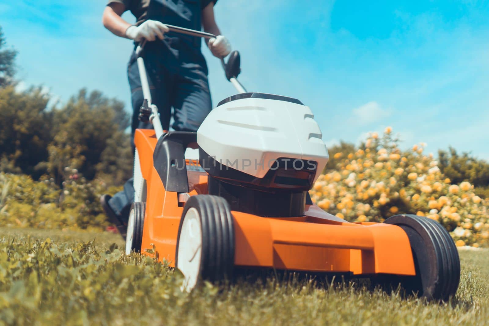 A young man in a straw hat is mowing a lawn with a lawn mower in his beautiful green floral summer garden. A professional gardener with a lawnmower cares for the grass in the backyard.