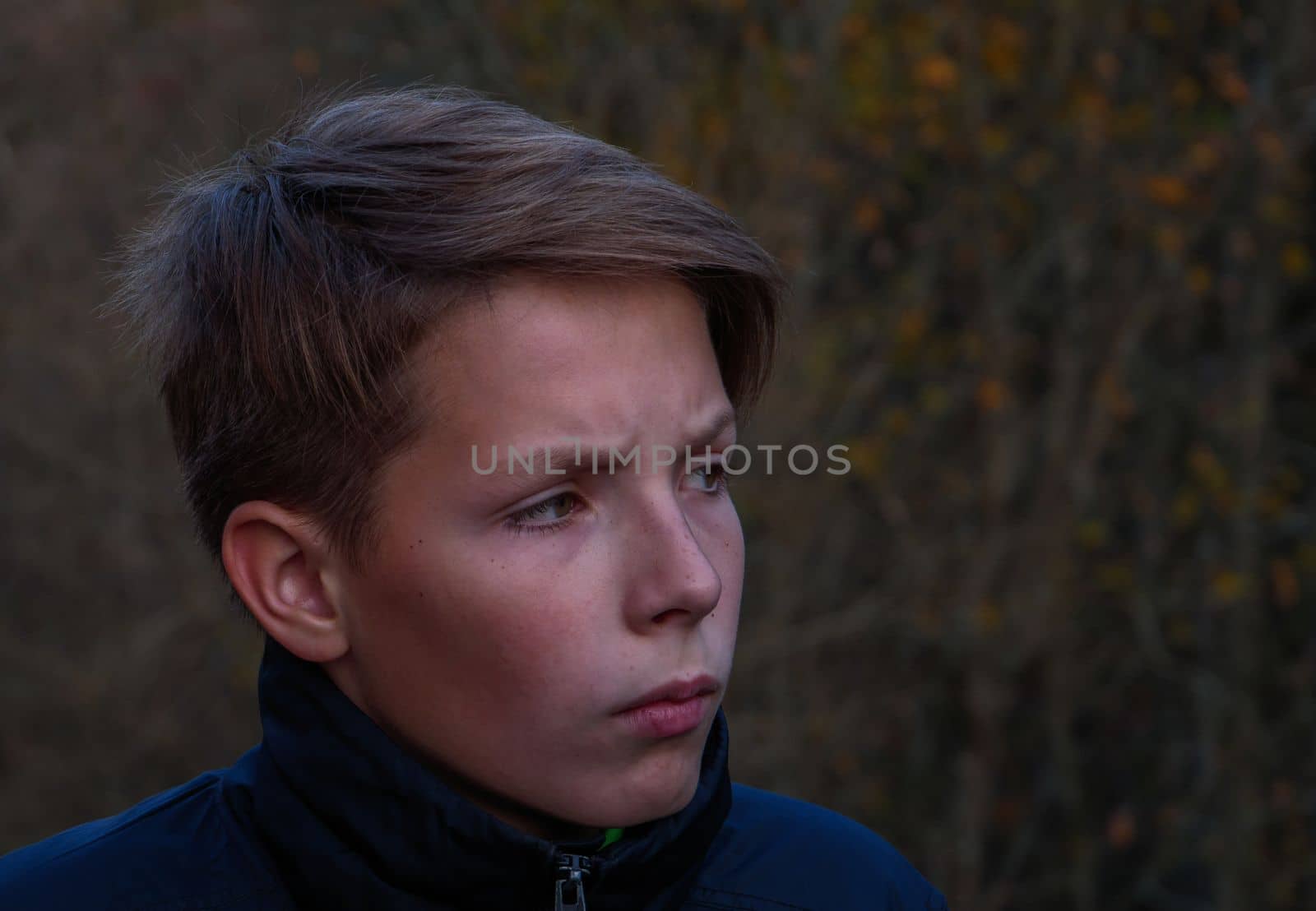 Portrait of a cute boy in blue clothes on the background of the autumn forest. Sad dramatic portrait of a teenager. Portrait of a handsome sad boy looking to the side.