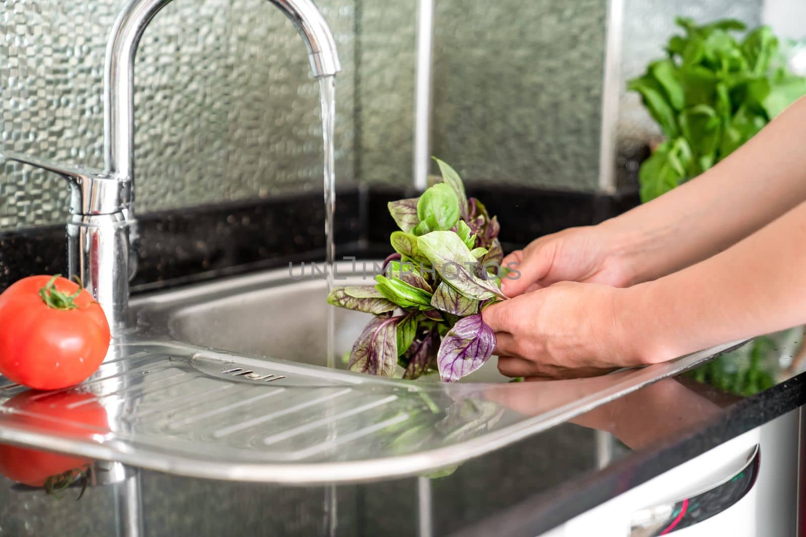 Girl washes fresh basil over the sink, hands and greenery close-up by Laguna781